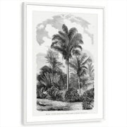 framed-print-white-matted