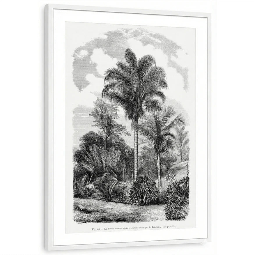 framed-print-white-matted