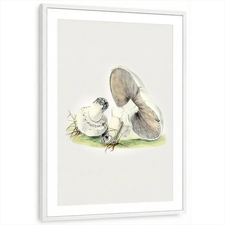 framed-print-white-matted