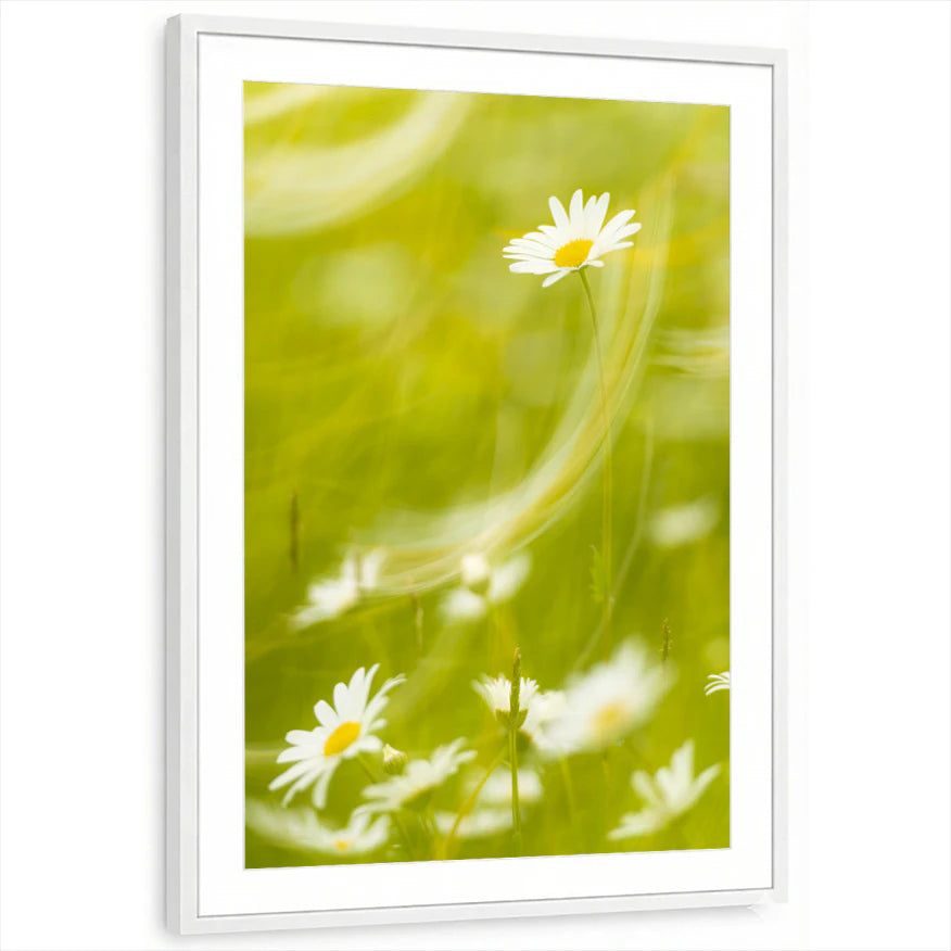 framed-print-white-matted