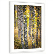 framed-print-white-matted