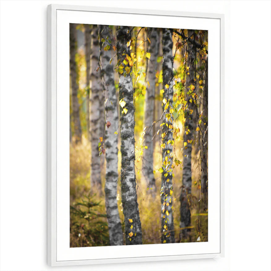 framed-print-white-matted