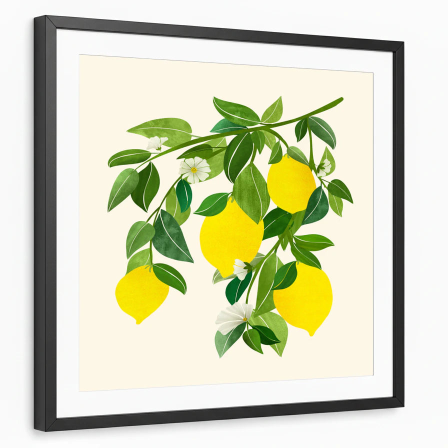 framed-print-black-matted