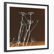 framed-print-black-matted