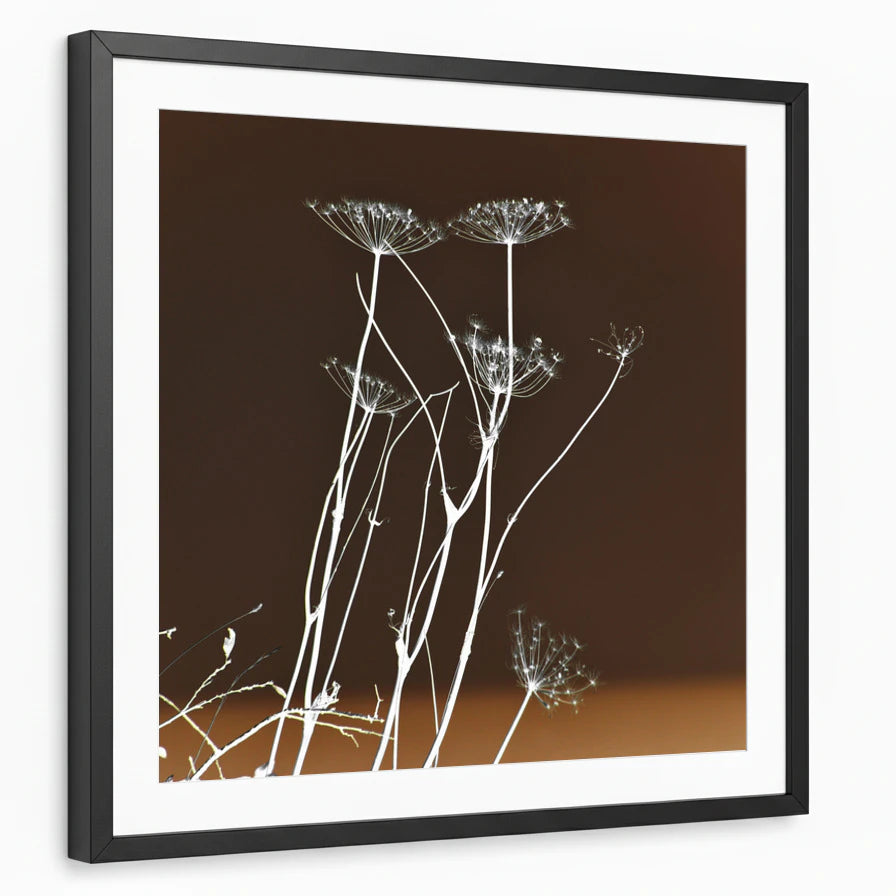 framed-print-black-matted