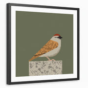 framed-print-black-matted