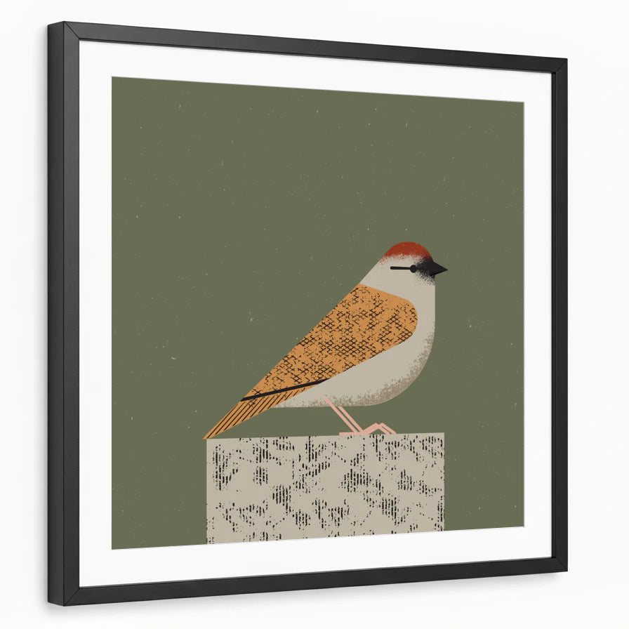 framed-print-black-matted