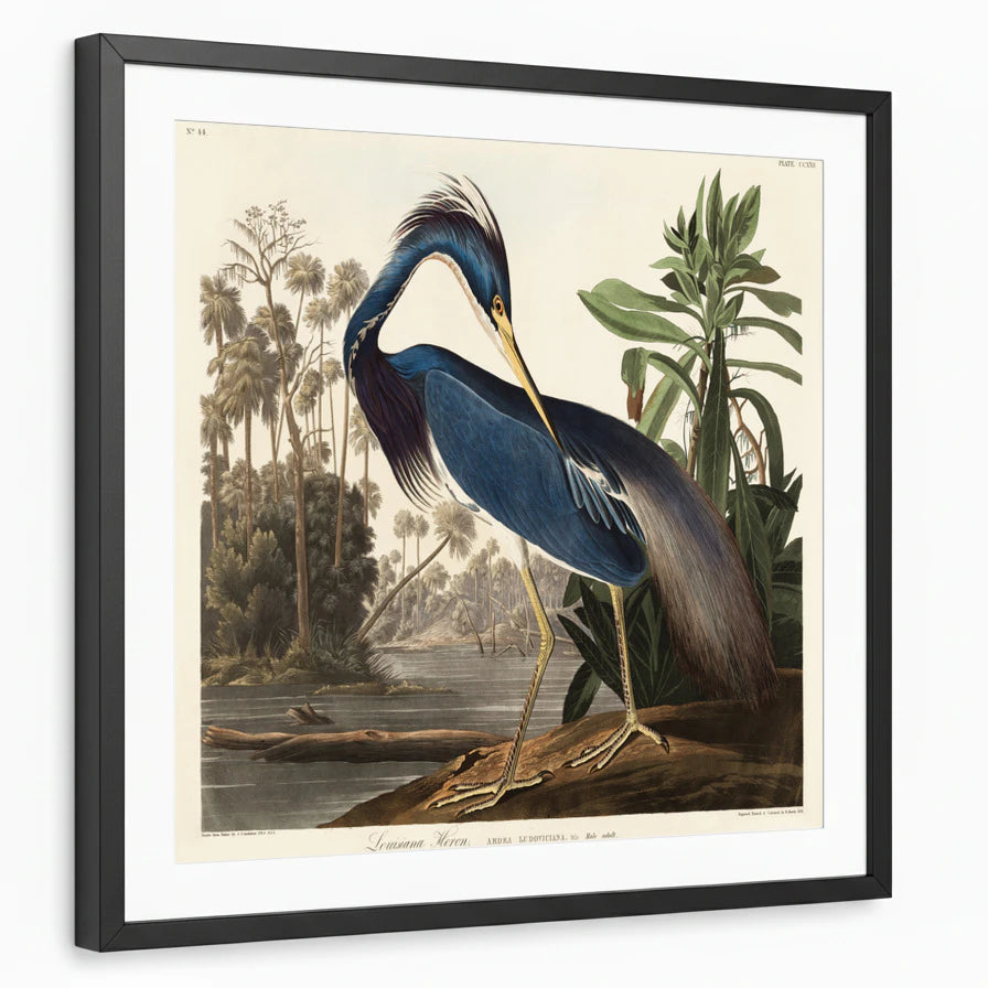 framed-print-black-matted