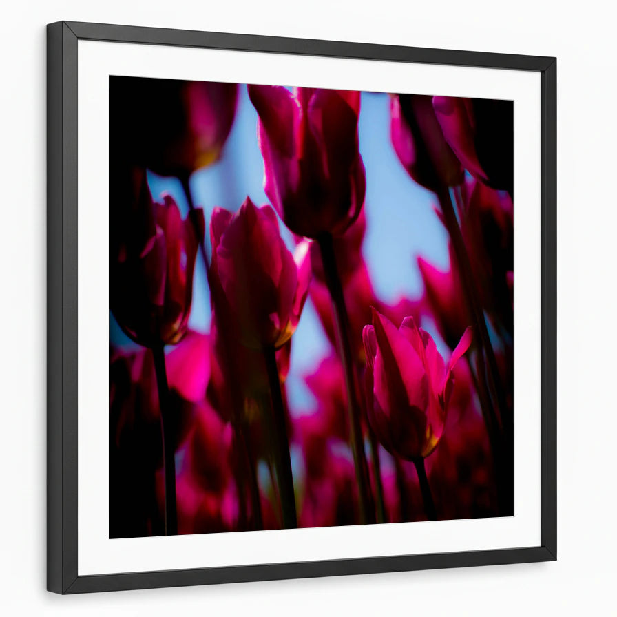 framed-print-black-matted