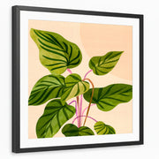 framed-print-black-matted