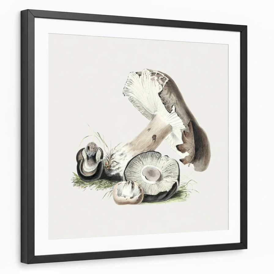 framed-print-black-matted