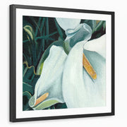 framed-print-black-matted