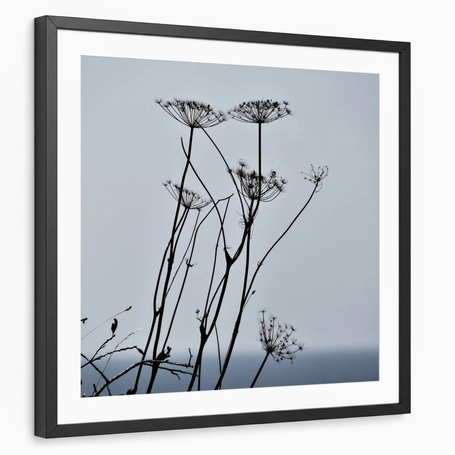 framed-print-black-matted