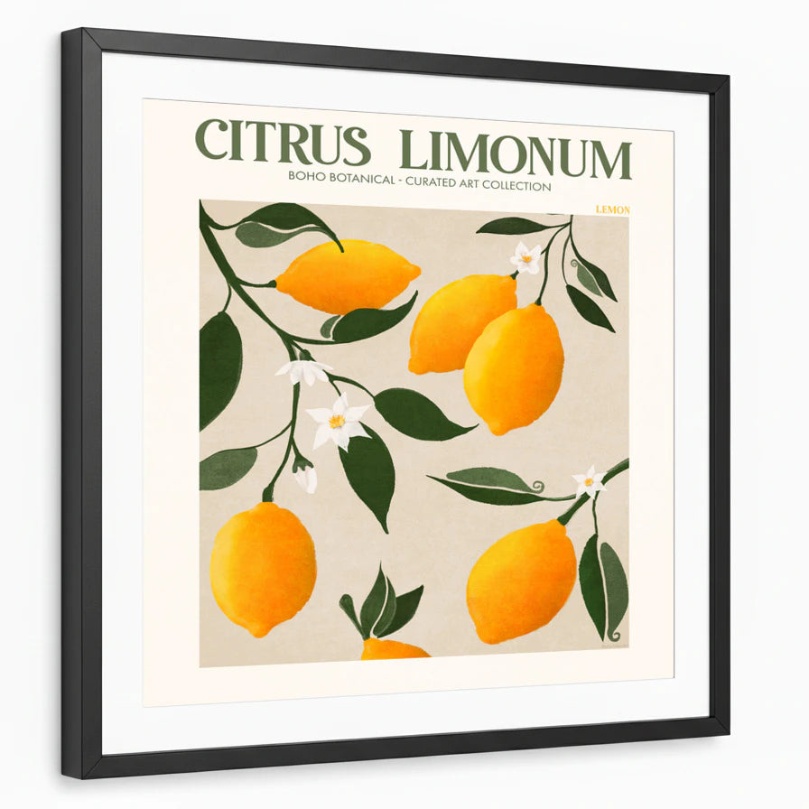 framed-print-black-matted