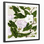 framed-print-black-matted