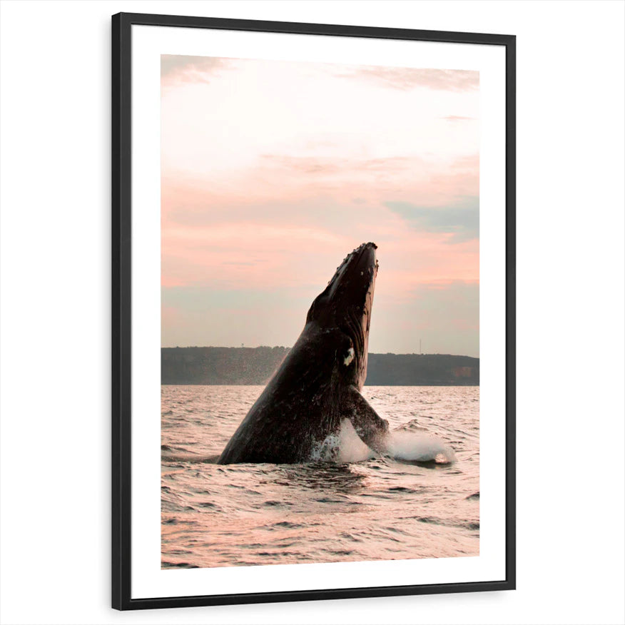 framed-print-black-white-border