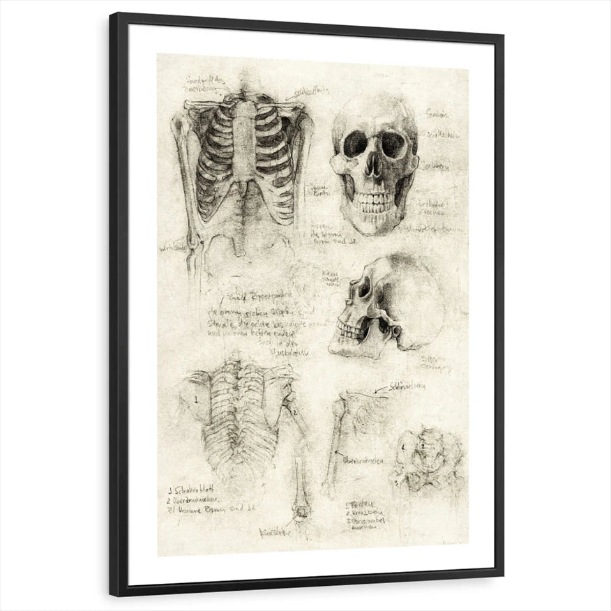 framed-print-black-white-border