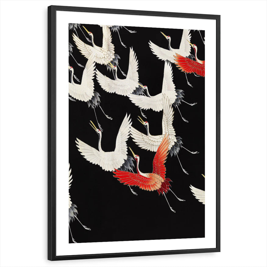 framed-print-black-white-border