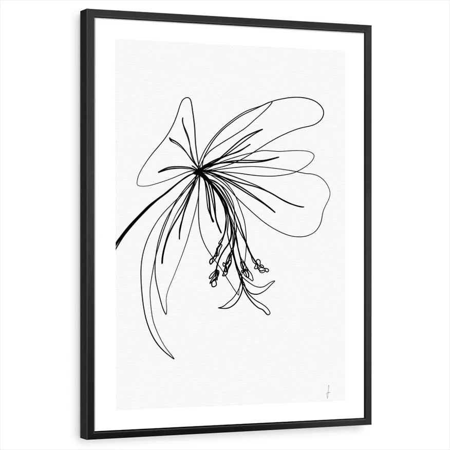 framed-print-black-white-border