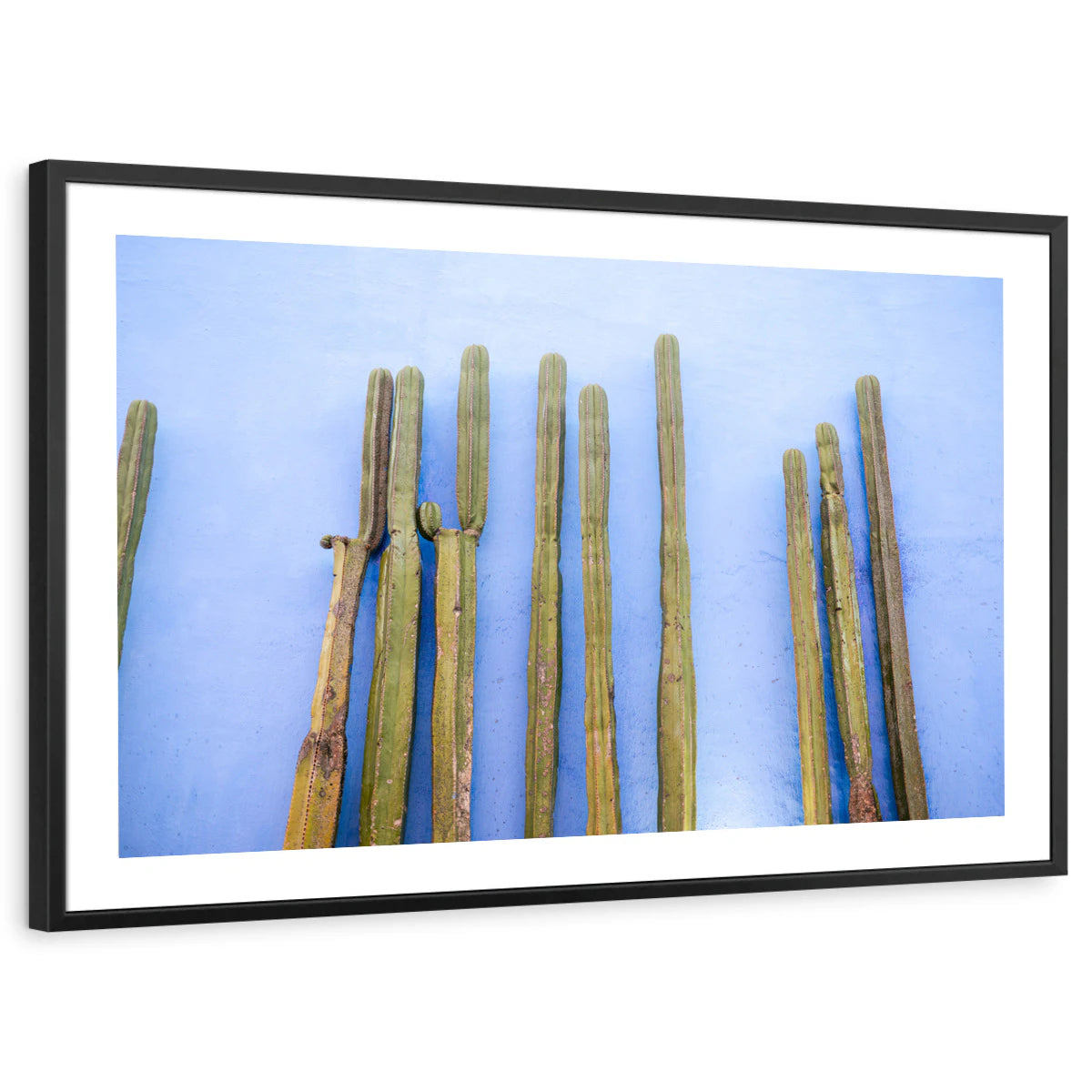 framed-print-black-white-border