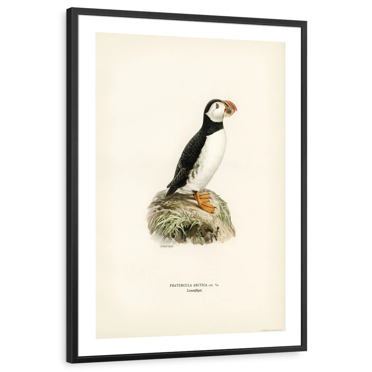 framed-print-black-white-border