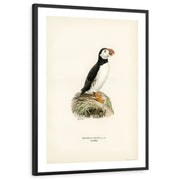 framed-print-black-white-border