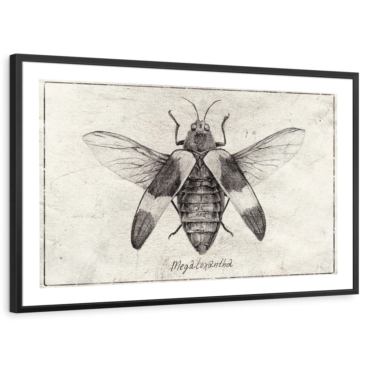framed-print-black-white-border