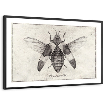 framed-print-black-white-border