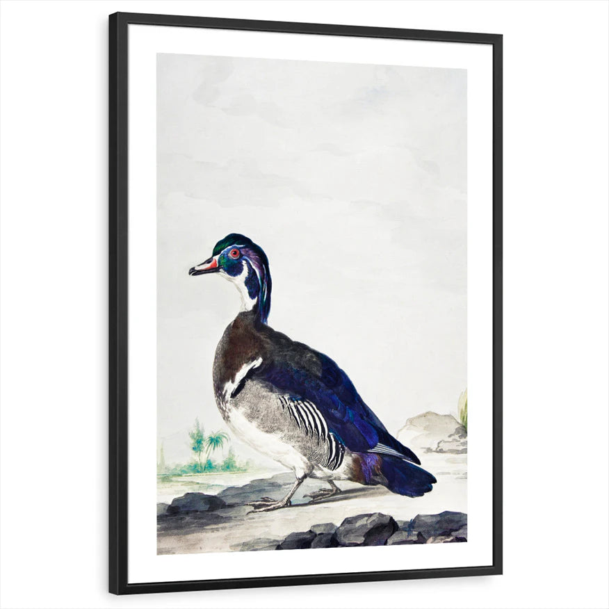 framed-print-black-white-border
