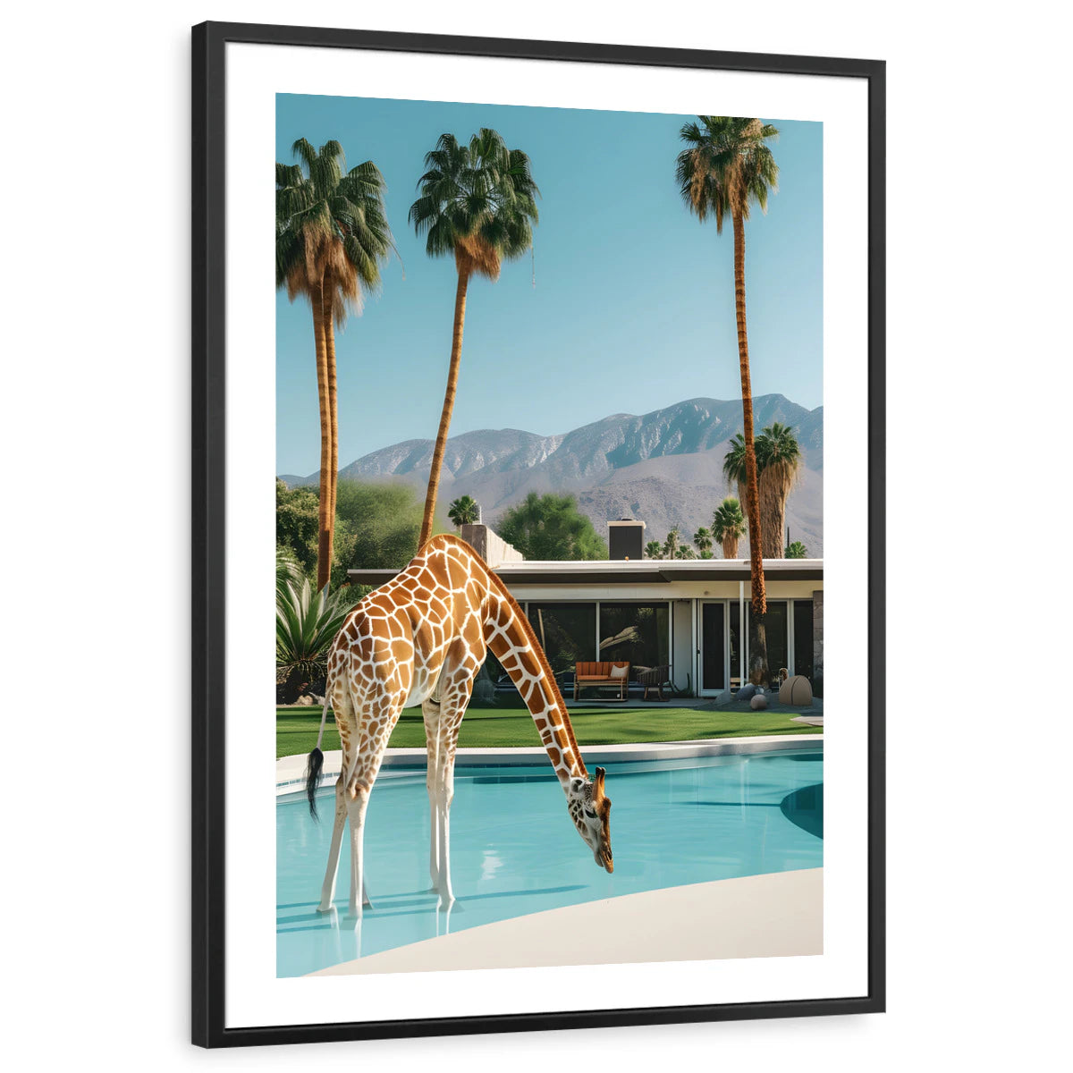 framed-print-black-white-border
