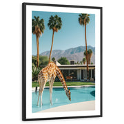 framed-print-black-white-border
