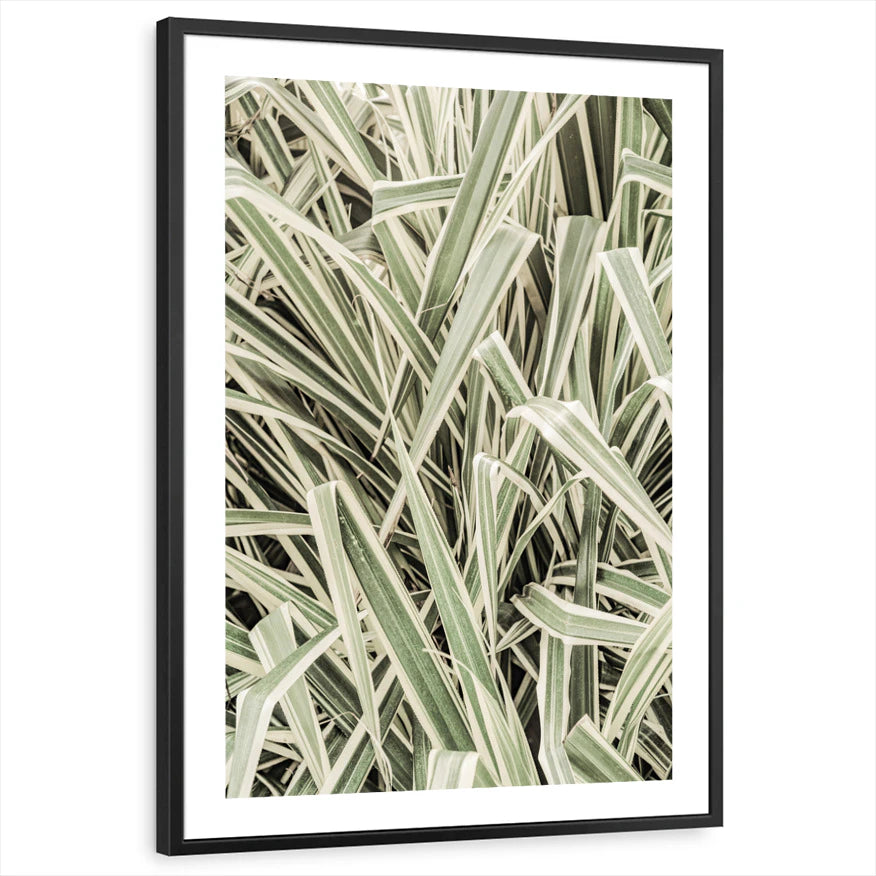 framed-print-black-white-border