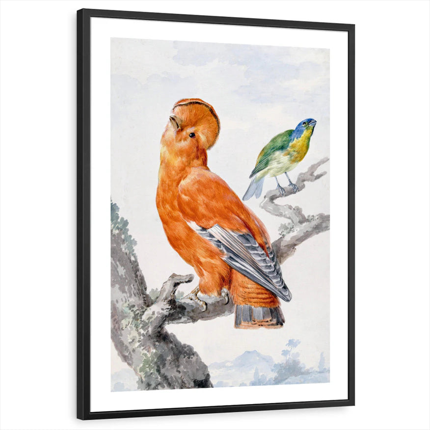 framed-print-black-white-border