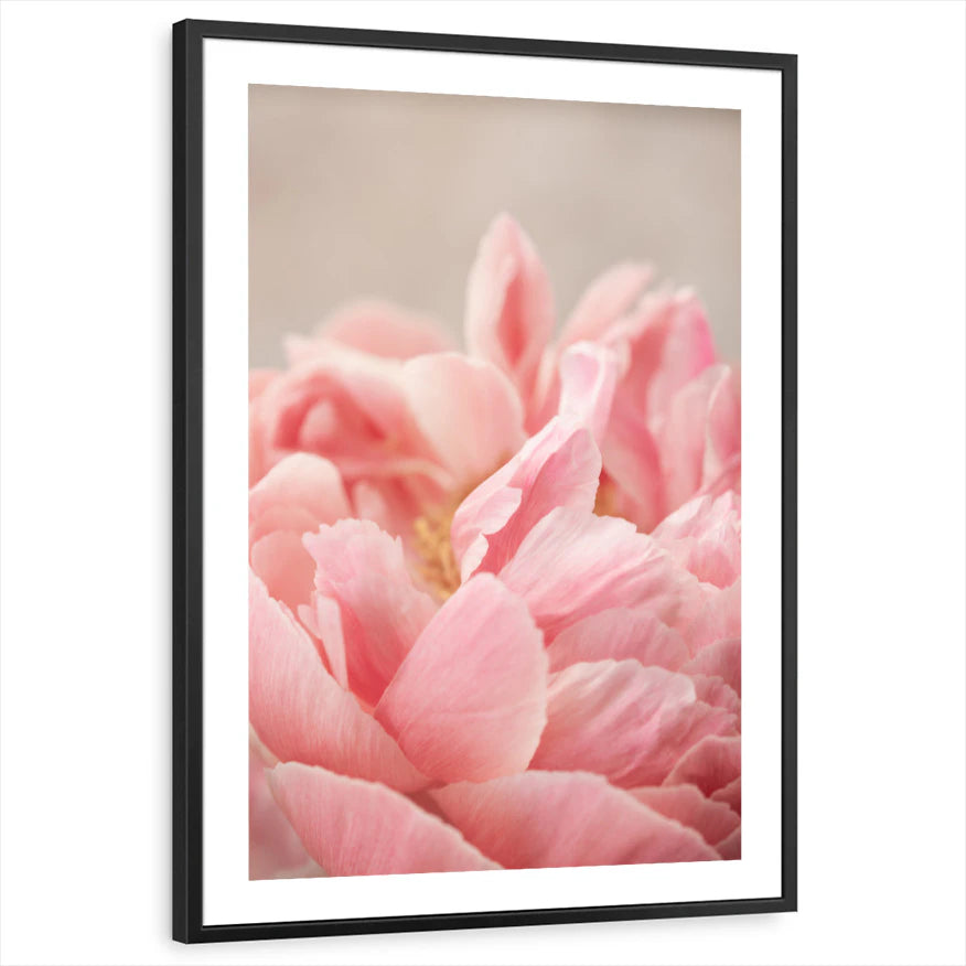 framed-print-black-white-border