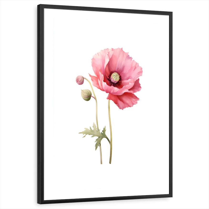 framed-print-black-white-border