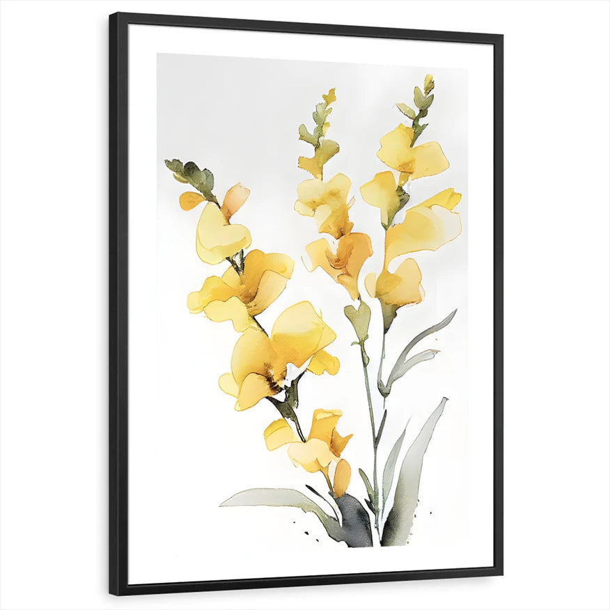 framed-print-black-white-border