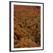framed-print-black-white-border