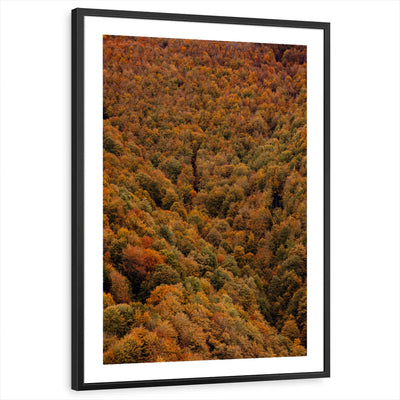 framed-print-black-white-border