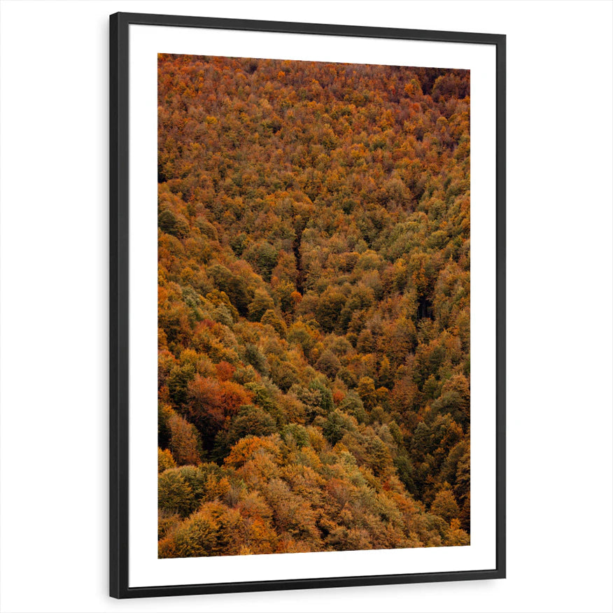 framed-print-black-white-border