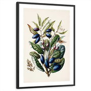 framed-print-black-white-border