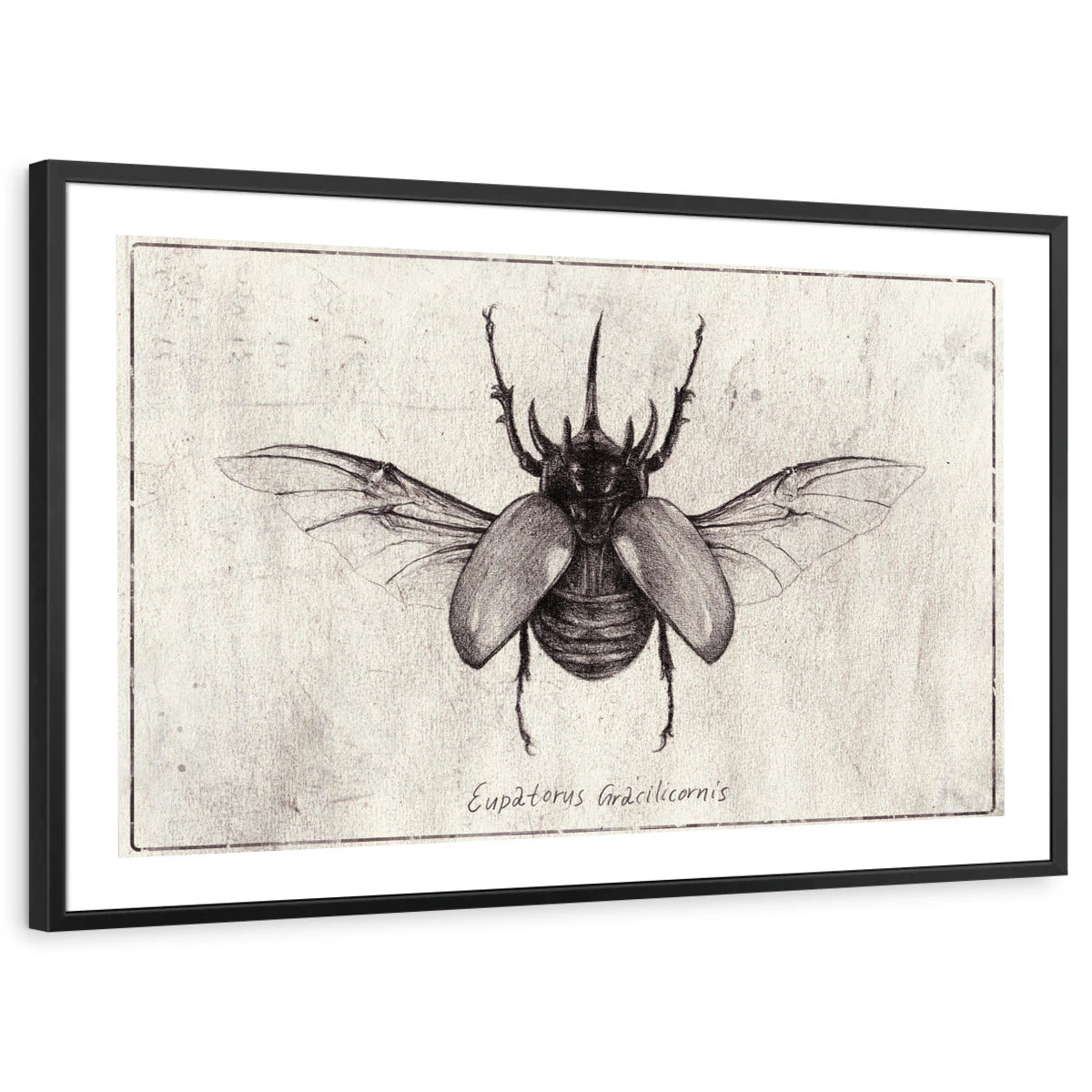 framed-print-black-white-border