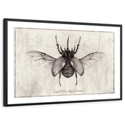 framed-print-black-white-border