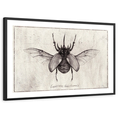 framed-print-black-white-border