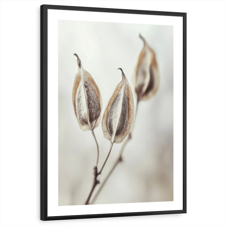 framed-print-black-white-border