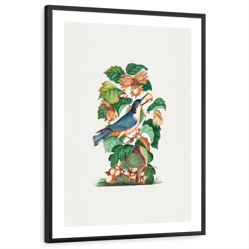 framed-print-black-white-border