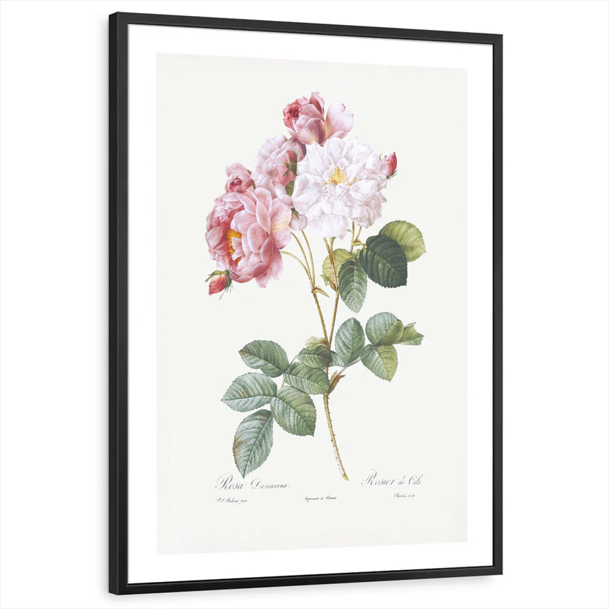 framed-print-black-white-border