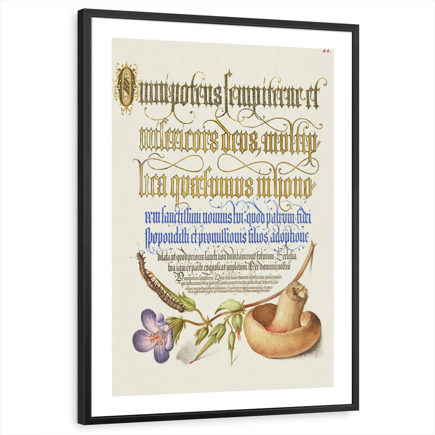 framed-print-black-white-border