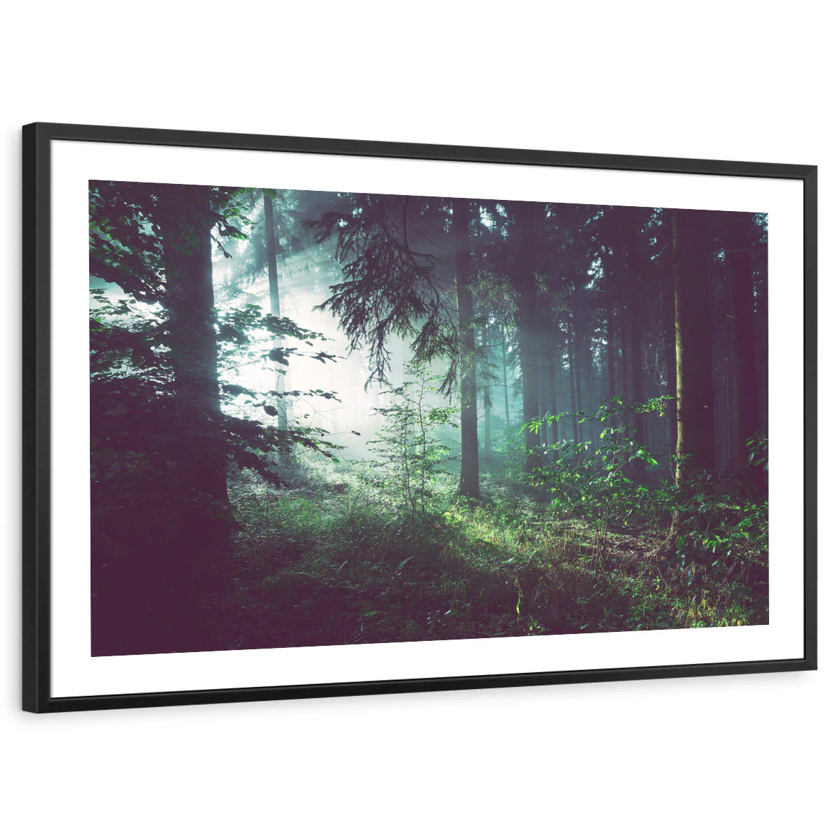 framed-print-black-white-border