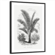 framed-print-black-white-border