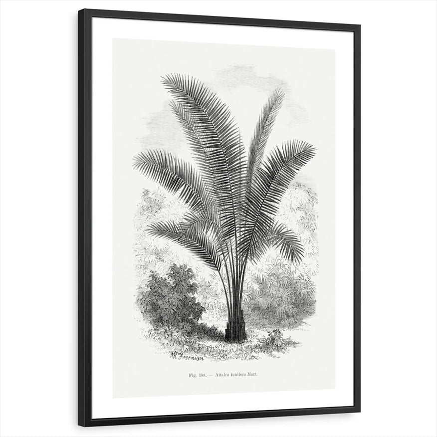 framed-print-black-white-border